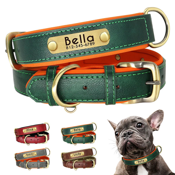 Customized Leather ID Nameplate Dog Collar Soft Padded Dogs Collars Free Engraving