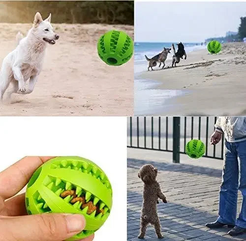 Dog Ball Toys