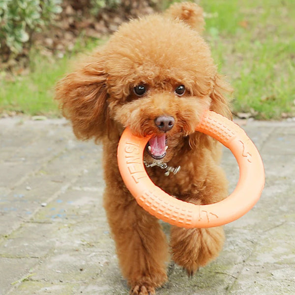 1pc Orange Dog Toys Pet Flying Disk Training Ring Puller